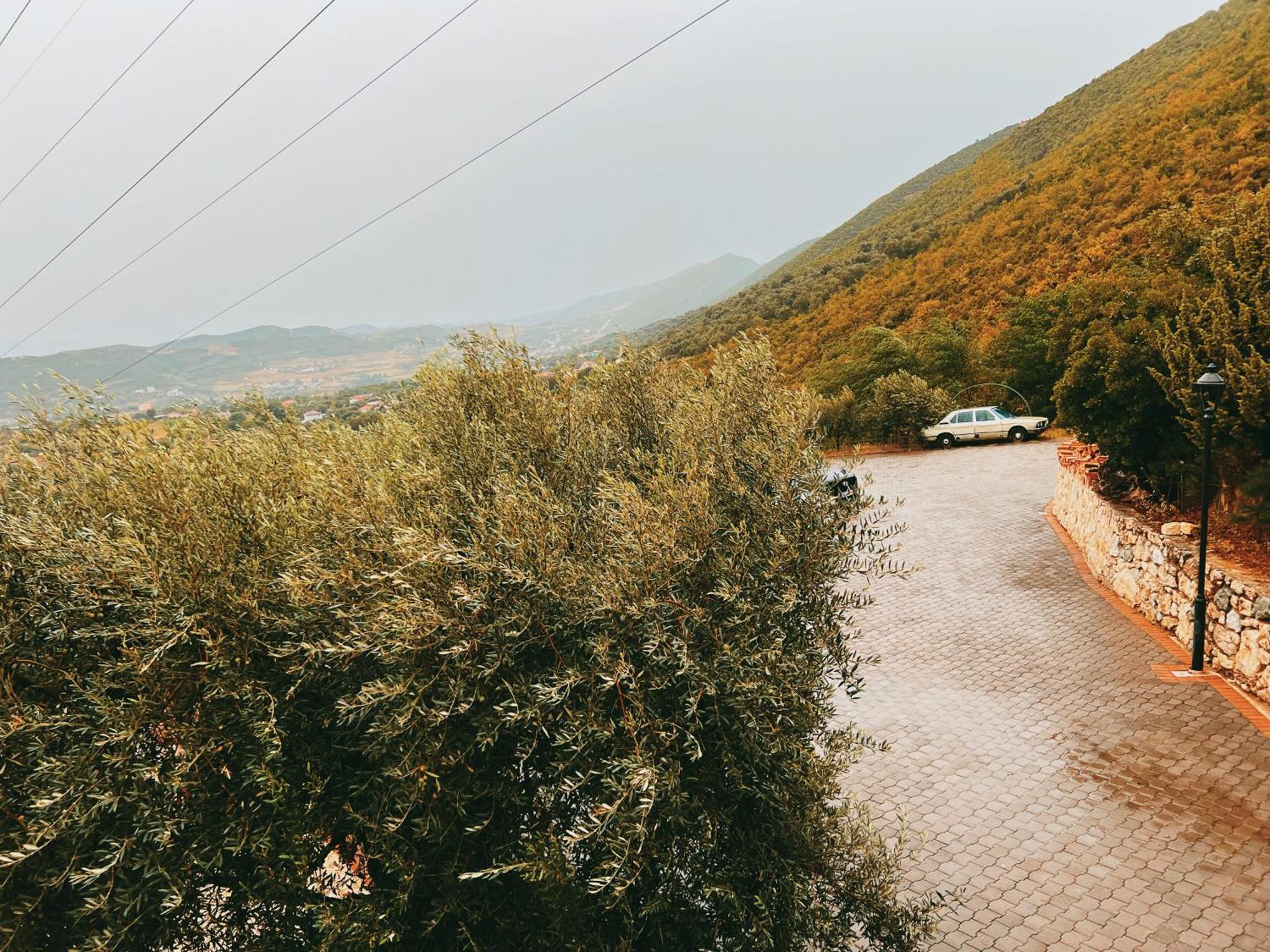Chateau Fasel Tirana Kültér fotó
